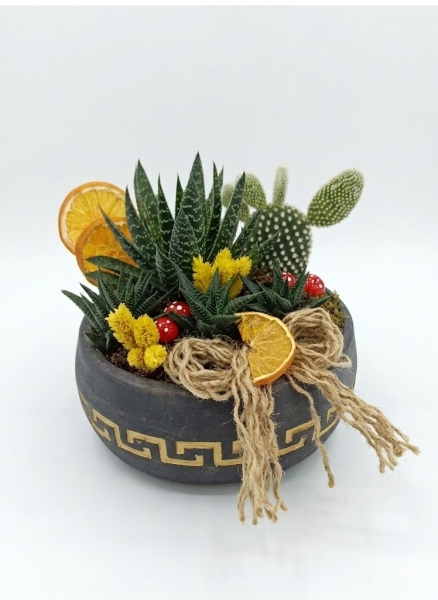 Succulent