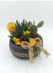 Succulent